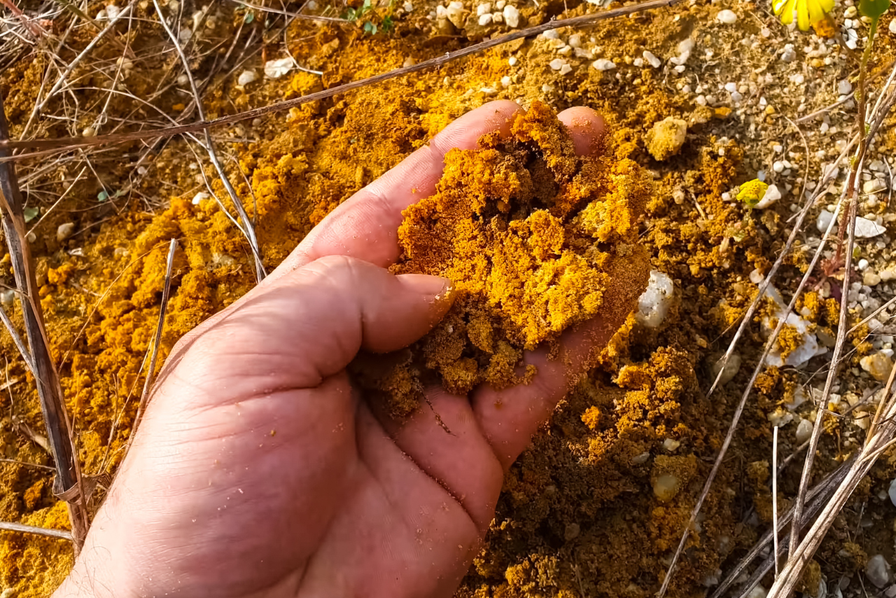 prospecting for gold and precious metals